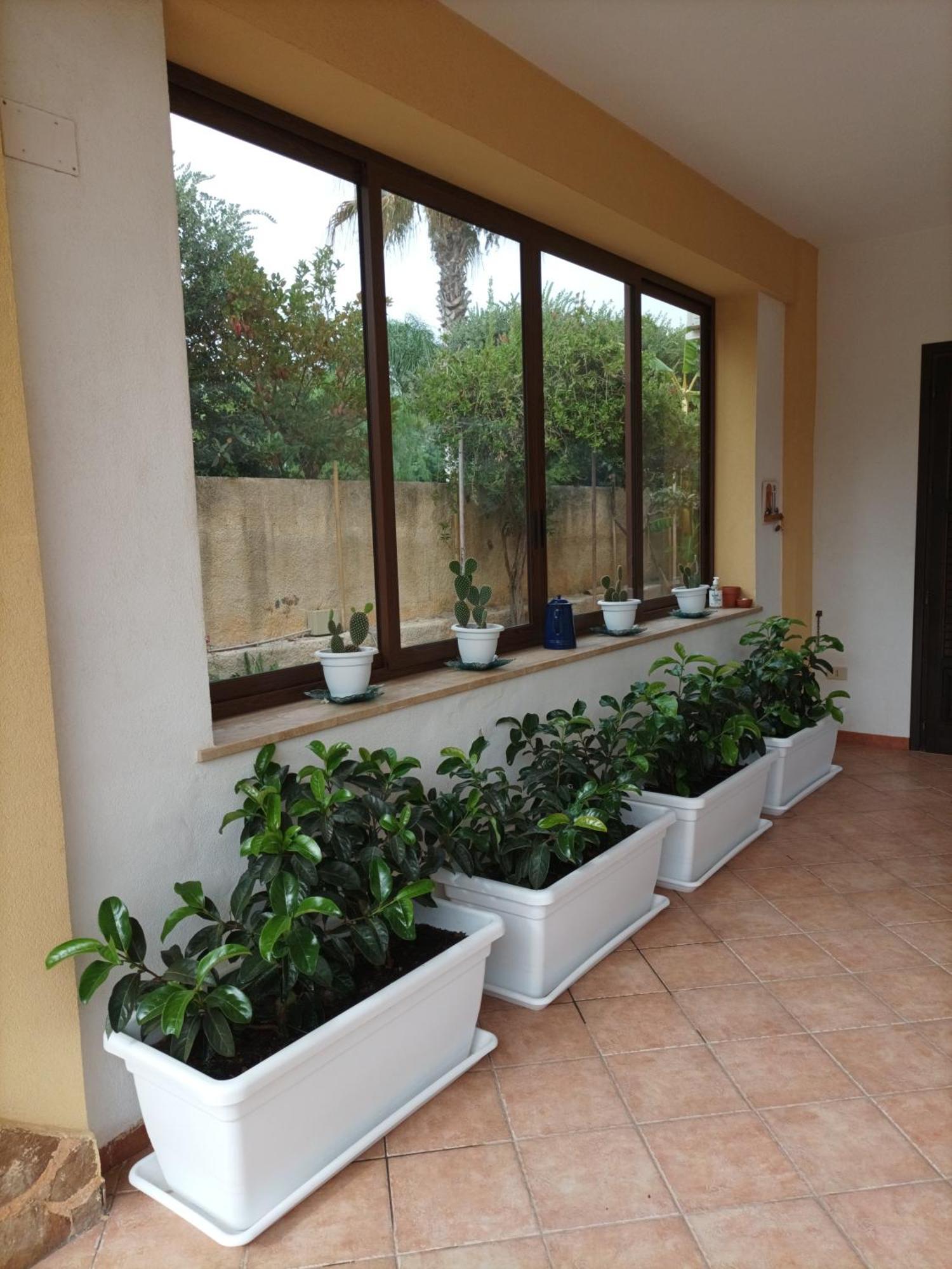 Acasammare Apartment Marsala Kültér fotó